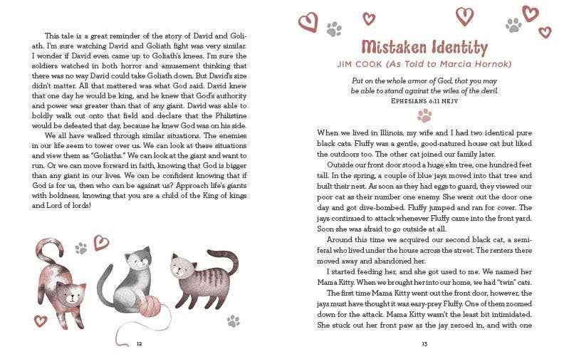 Devotions for Cat Lovers : Everyday Inspiration and Encourag