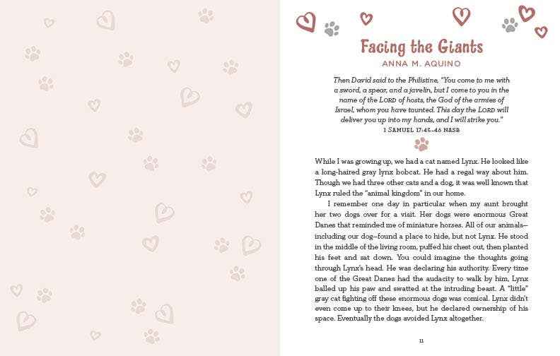 Devotions for Cat Lovers : Everyday Inspiration and Encourag